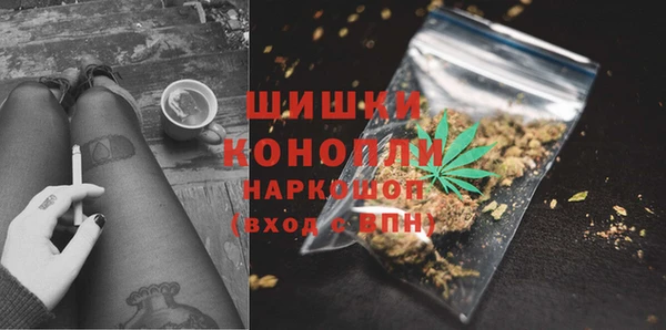 стаф Абинск