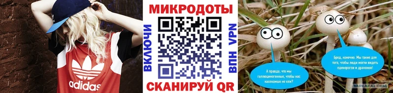 Галлюциногенные грибы ЛСД Назрань